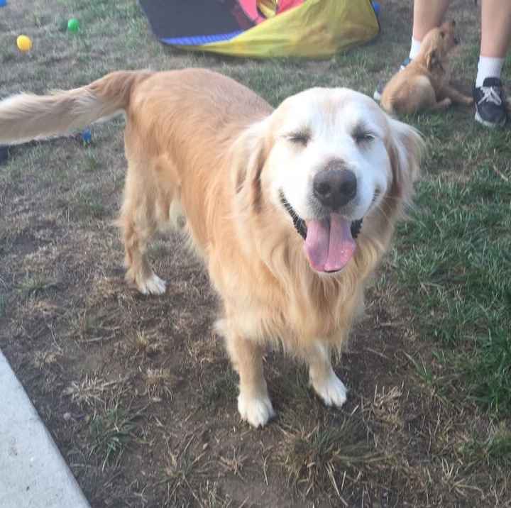 It's Fursday! Share the love!