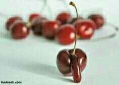 NSFW/NWR: Veggie Peen!!!!