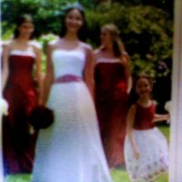 What kind of Theme do u have or had?