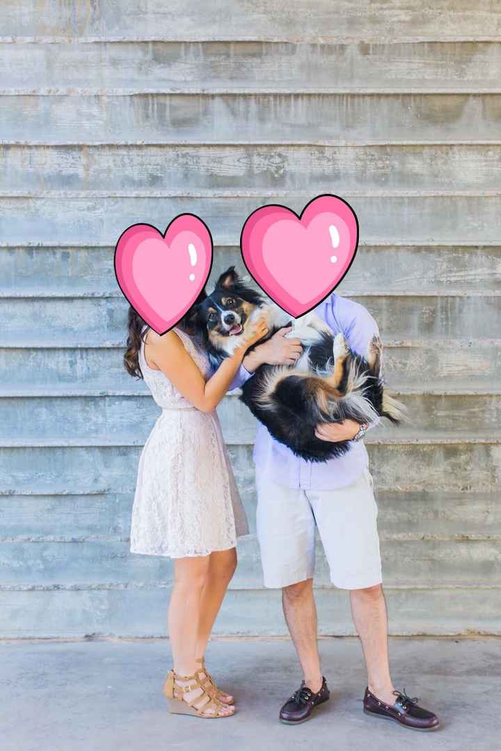 NWR: Show me your pups!