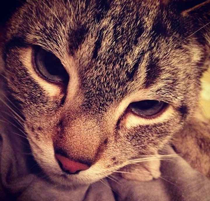 Good vibes and prayers please