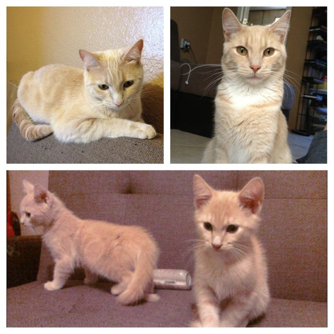 Nwr- fur babies