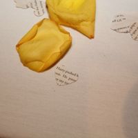 Harry Potter Details! *Pics*