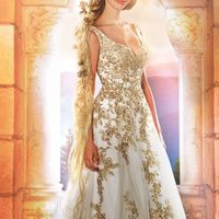 Has anyone worn this dress/Worth the risk?