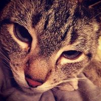 Good vibes and prayers please