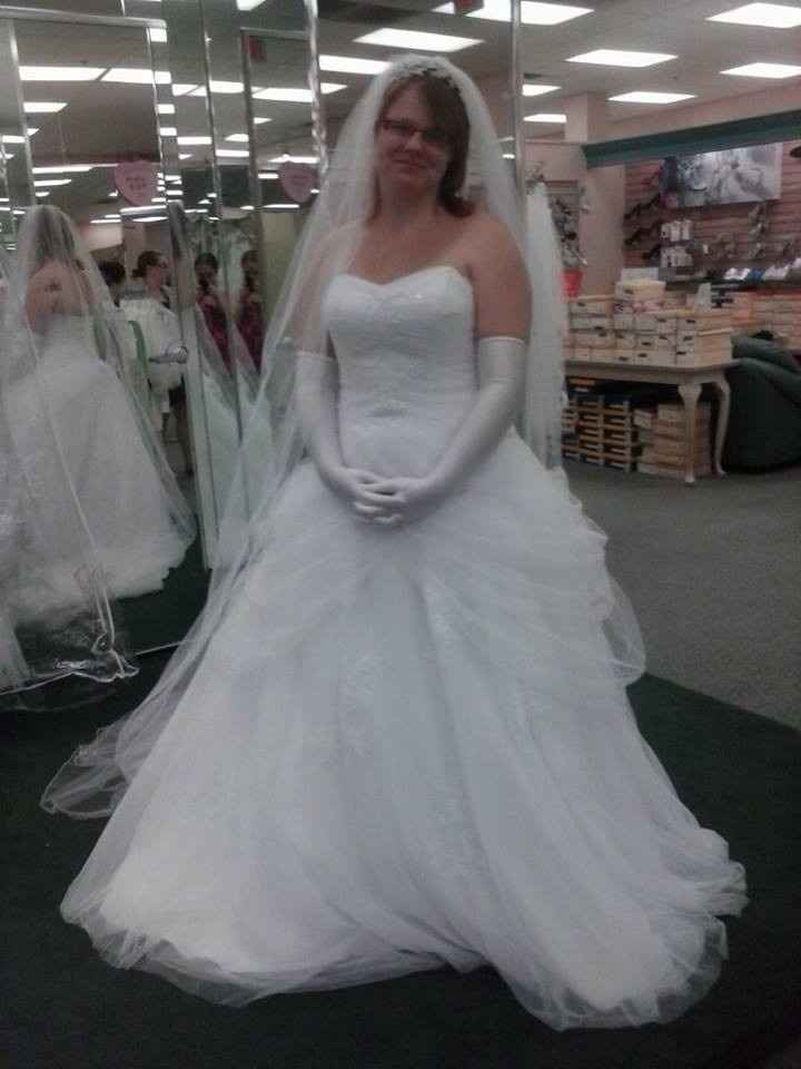 Wedding dress appointment (pics)