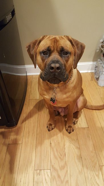 NWR: Shameless pet post!