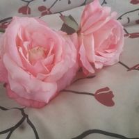 Unique alternatives to flowers???