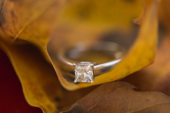 Yay for Engagement Photos being back already!