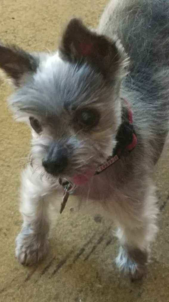 Nwr- show me your fur babies