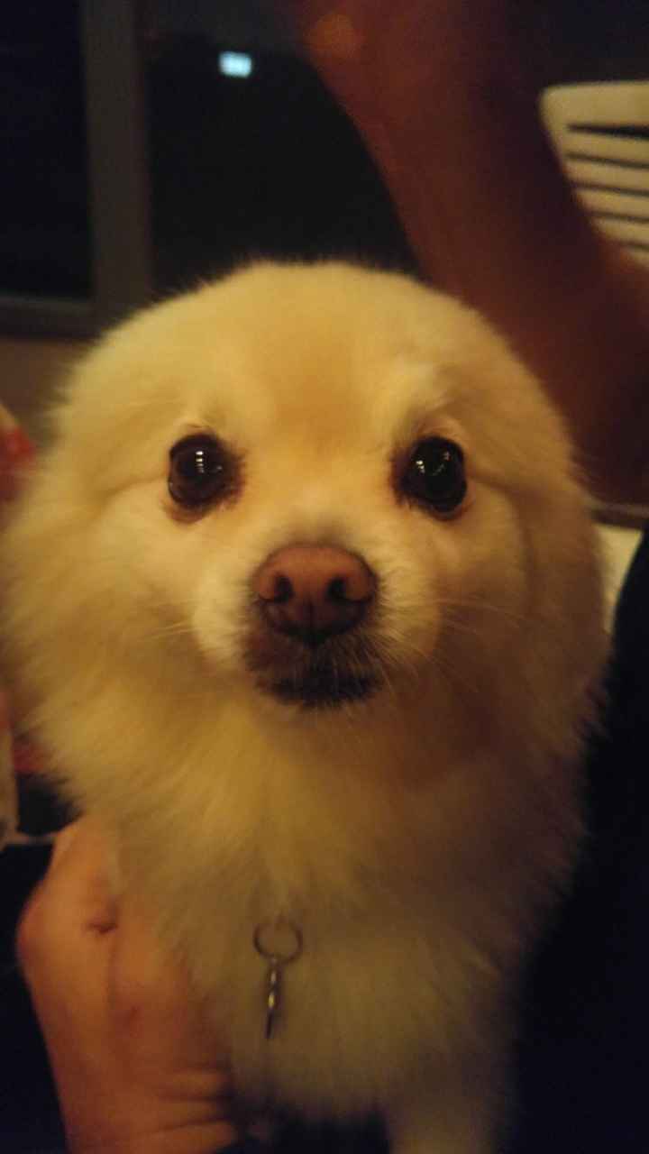 Nwr- show me your fur babies