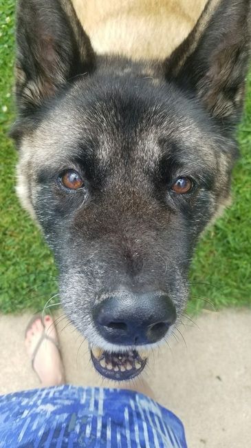 Nwr- show me your fur babies