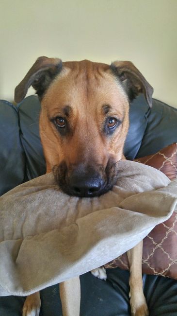 Nwr- show me your fur babies
