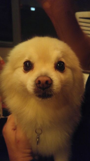 Nwr- show me your fur babies