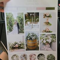 Wedding colors given postponement - 3