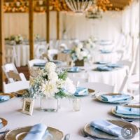 Wedding colors given postponement - 5