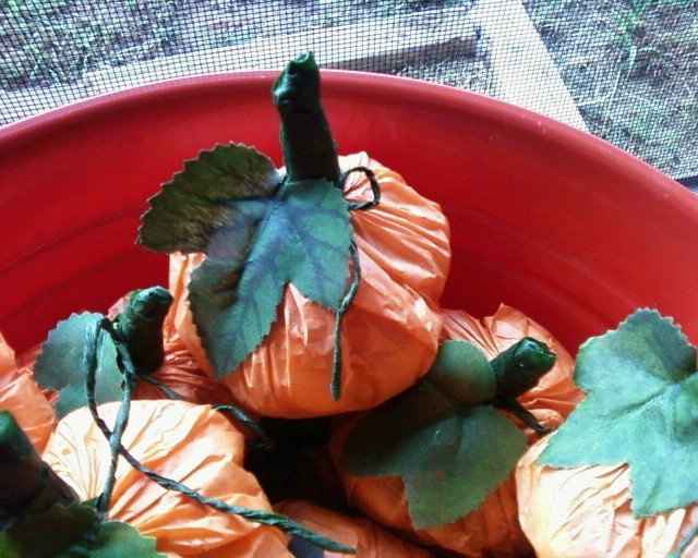 Part of our Favors for our Halloween wedding!