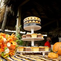 FINALLY 6 weeks later Professional Pics are in!