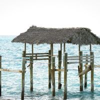 FINALLY 6 weeks later Professional Pics are in!