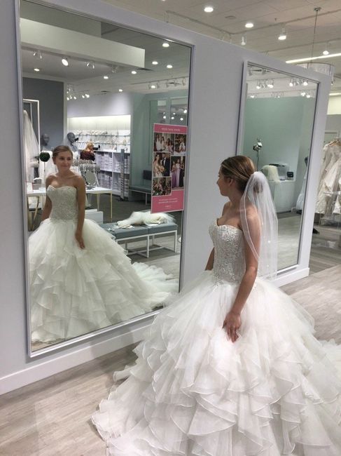 David's Bridal Brides! 7