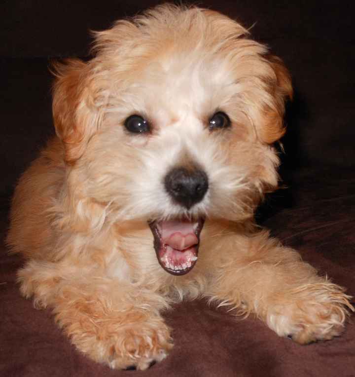 We havent had a pet post in a minute.