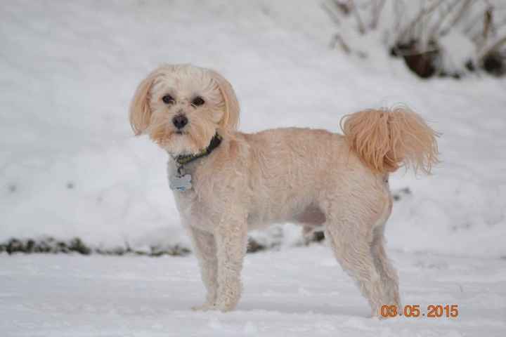 Its Fursday! Show me your furbabies! :)