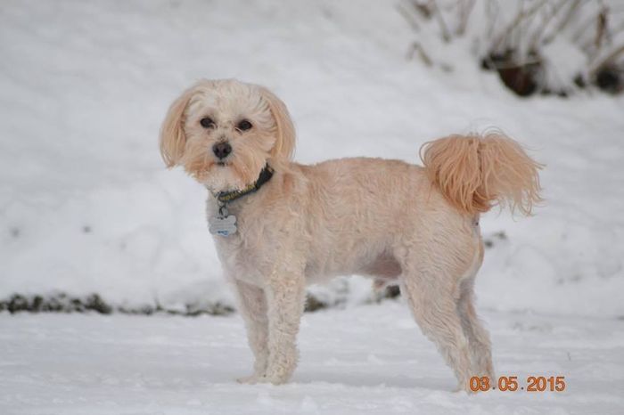 Its Fursday! Show me your furbabies! :)
