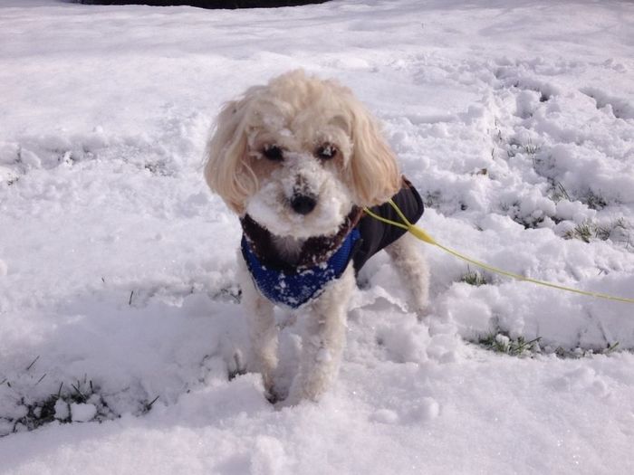 NWR Happy Fursday! Show me your fur babies!