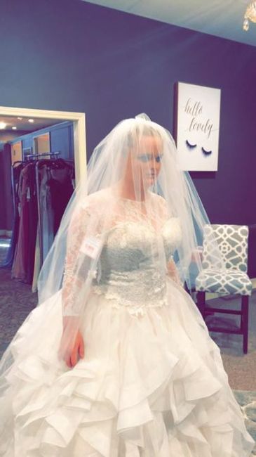 Plus size brides - 2