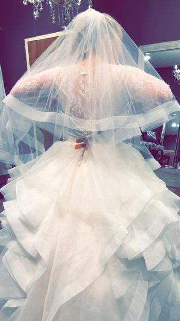 Plus size brides - 3