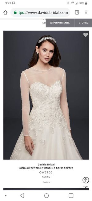 Plus size brides - 5