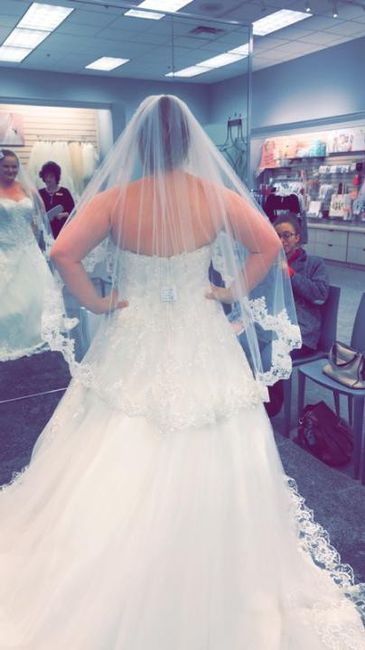i said yes again! - 2