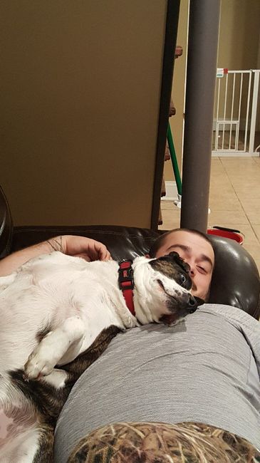 Show me your fiance and pet - 4