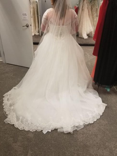 Unsure on veil - 6