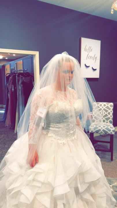 Plus size brides - 2