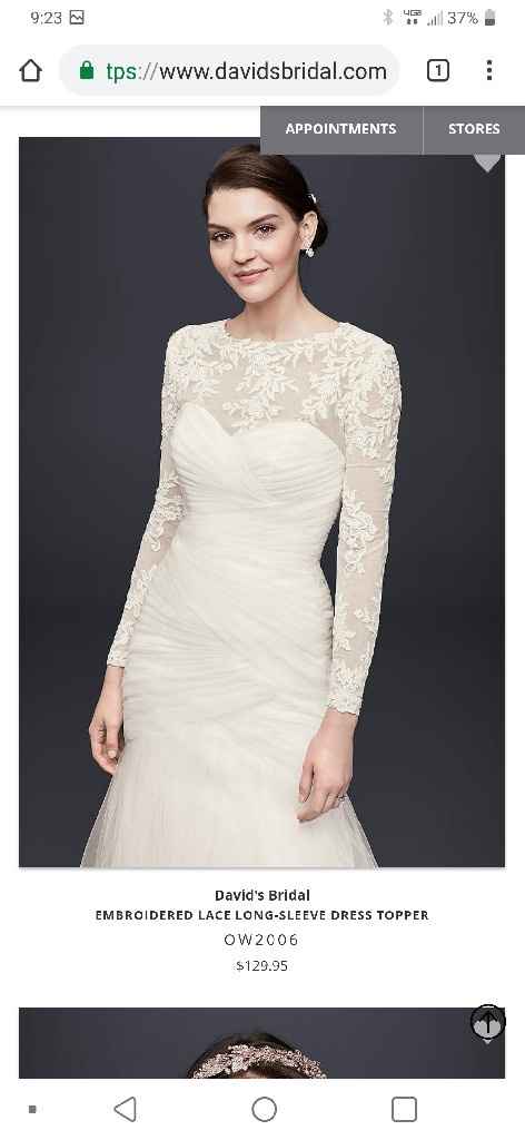 Plus size brides - 6