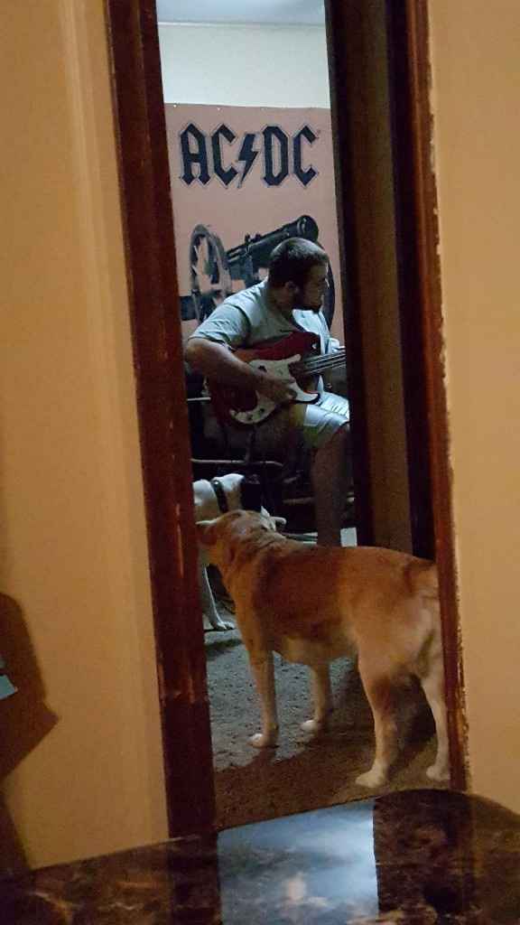 Show me your fiance and pet - 3