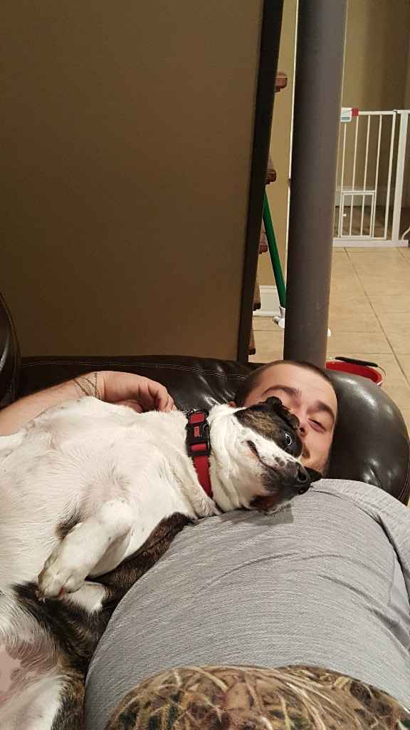 Show me your fiance and pet - 4