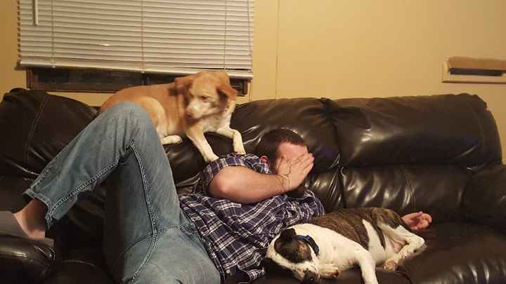 Show me your fiance and pet - 5