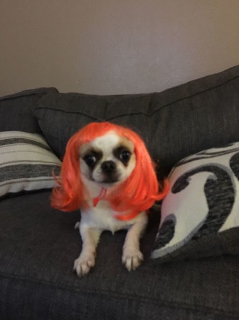 NWR:  Show me your fur babies!