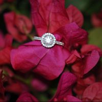 2019 Brides, Let's See Those E-rings - 1