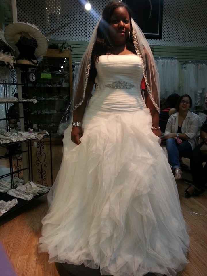 I said YES to the dress !