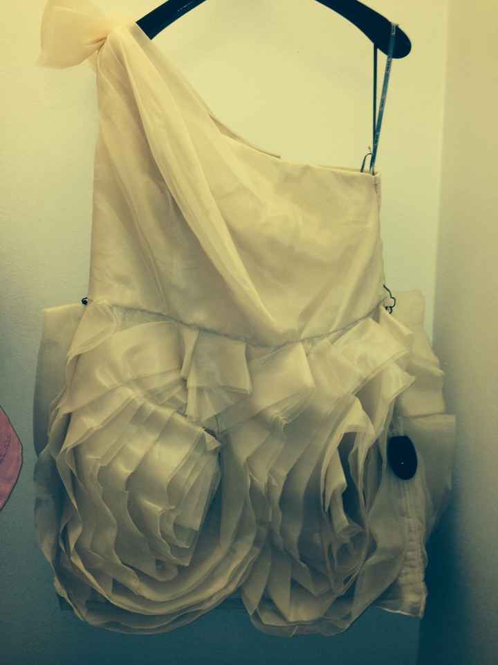 Ceremony dress? Reception Dress? Second dress?