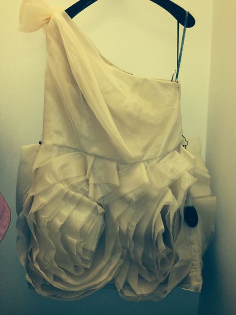 Ceremony dress? Reception Dress? Second dress?