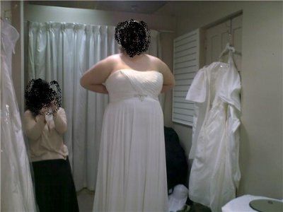 Not your dream dress (pic heavy)