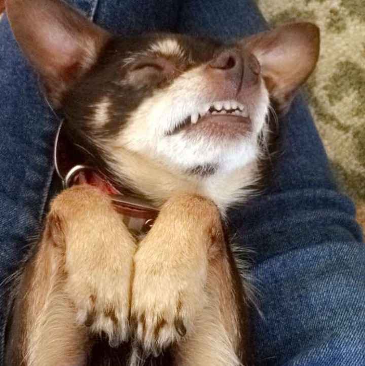 Need some positivity: Sick for the Wedding?