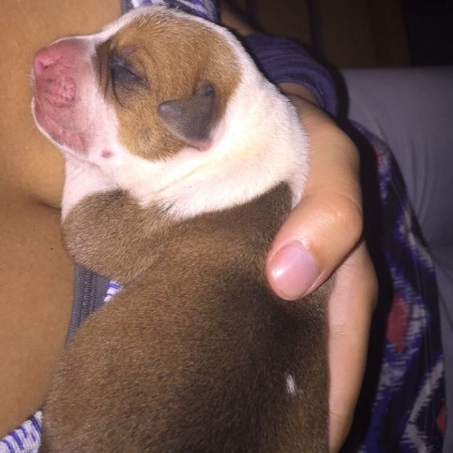 We're expecting......