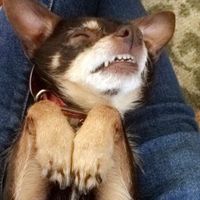 Need some positivity: Sick for the Wedding?