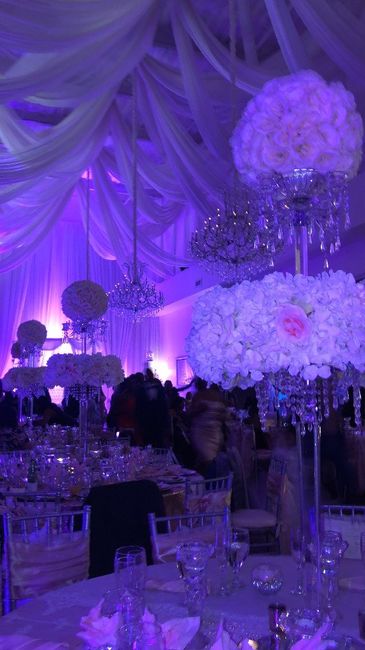 Artificial or Real Flowers ? 2