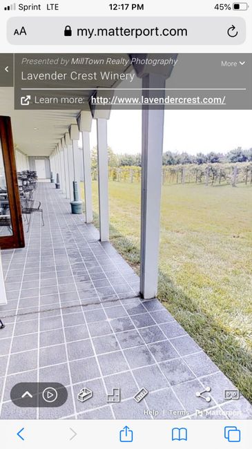 Vineyard Wedding Decor Help 5